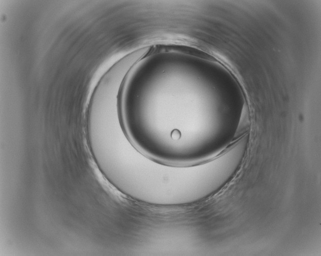 X0000057061152200509231525