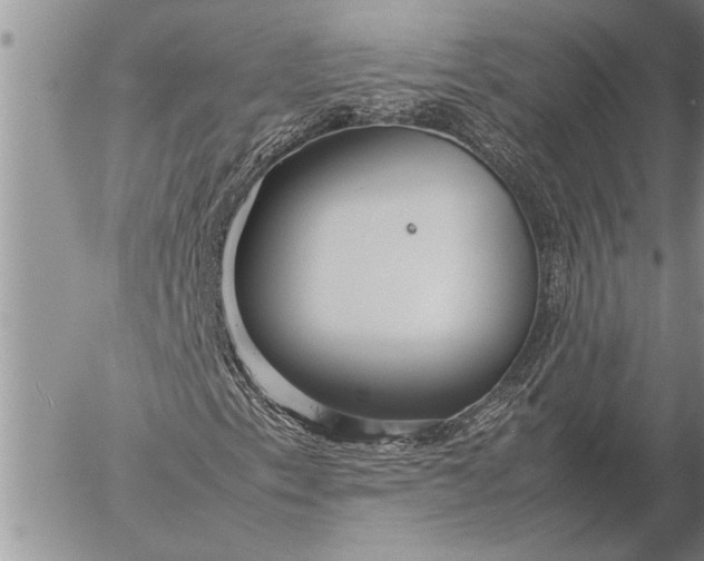 X0000057061153200509231525