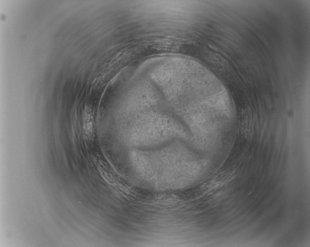 X0000057061154200509231525