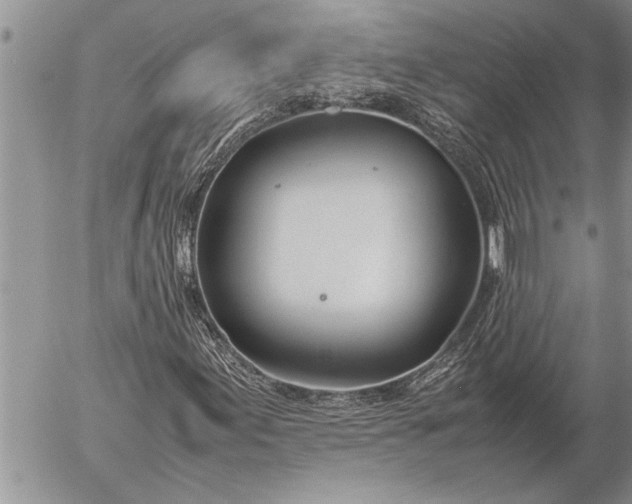 X0000057061155200509231525