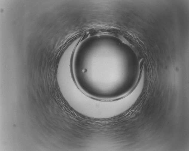 X0000057061157200509231525