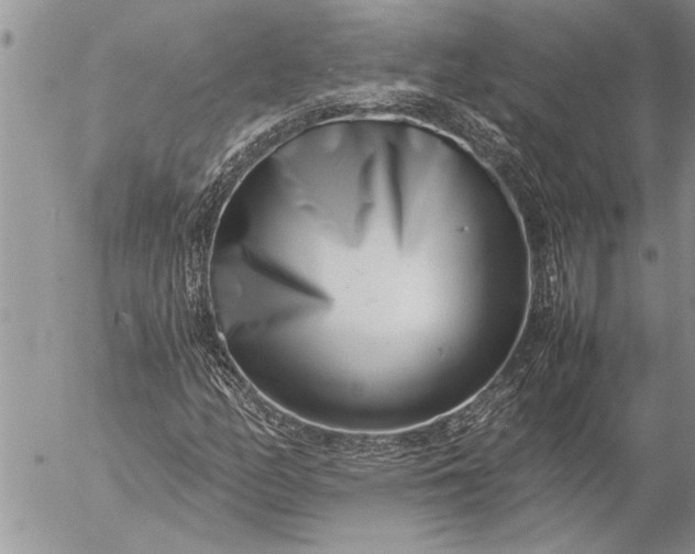 X0000057061158200509231525