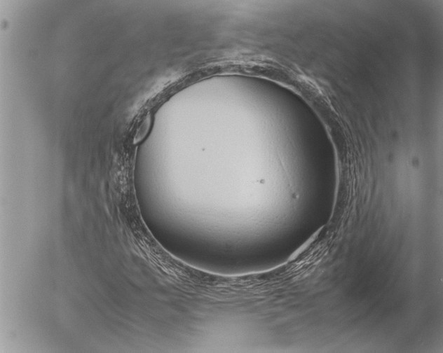 X0000057061159200509231524