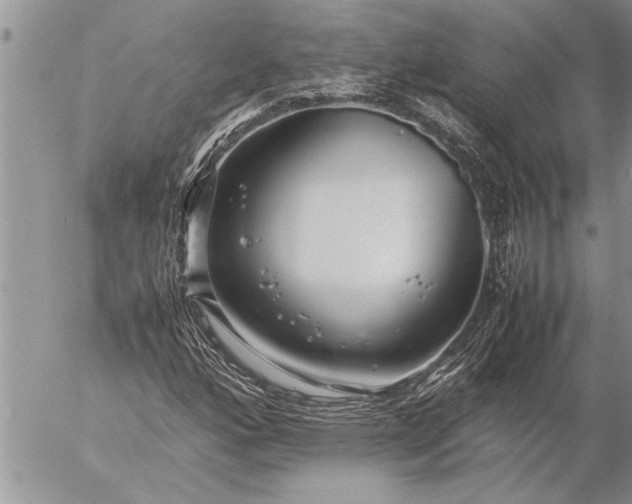 X0000057061160200509231524