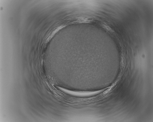 X0000057061161200509231524