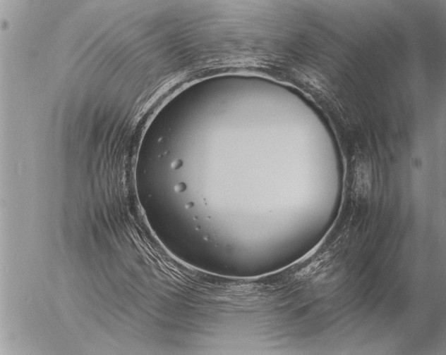 X0000057061162200509231524