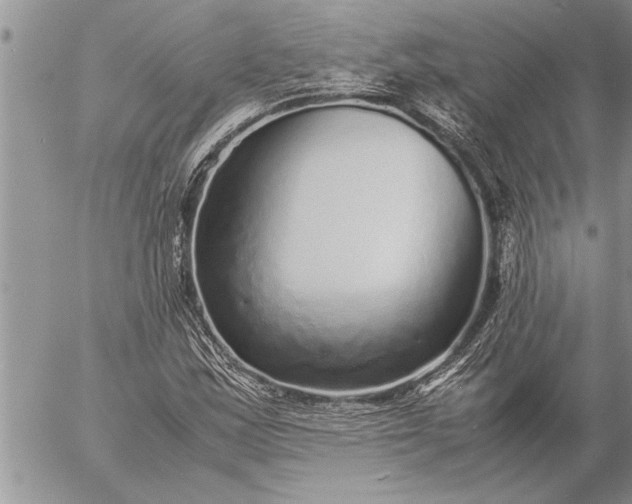 X0000057061163200509231524