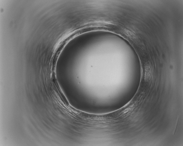 X0000057061164200509231524