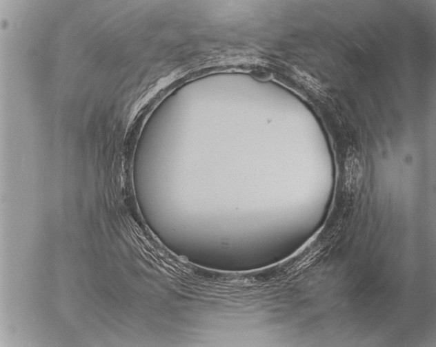 X0000057061165200509231524