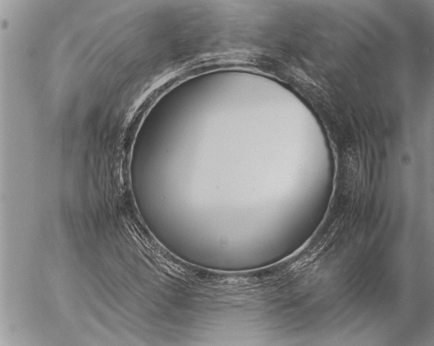 X0000057061166200509231524