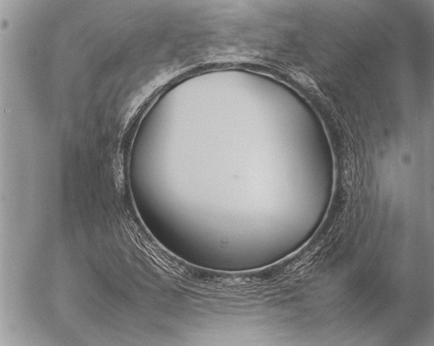 X0000057061167200509231524