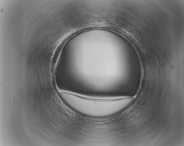 X0000057061168200509231524