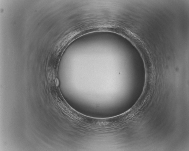 X0000057061169200509231524