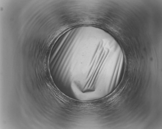 X0000057061170200509231524