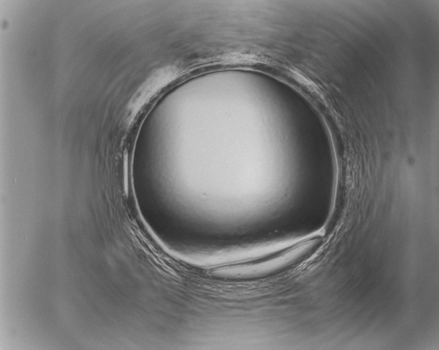 X0000057061171200509231524