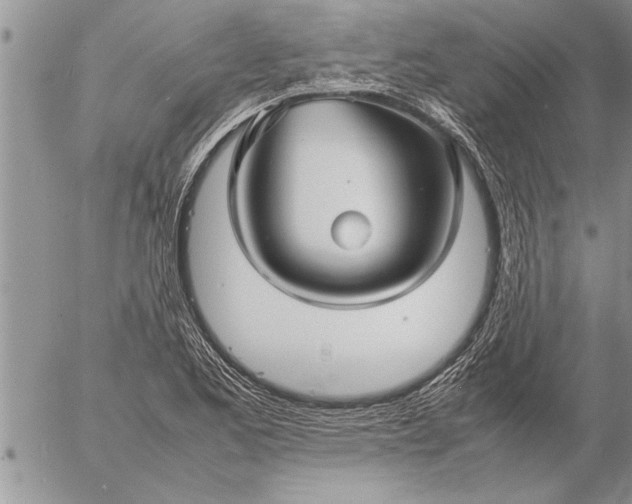 X0000057061173200509231524