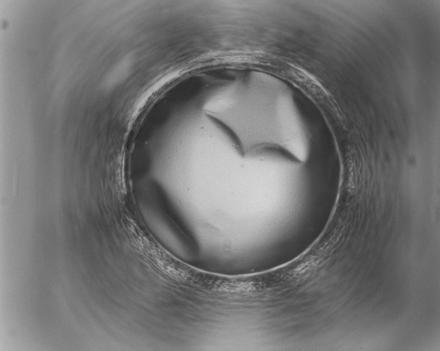 X0000057061174200509231524