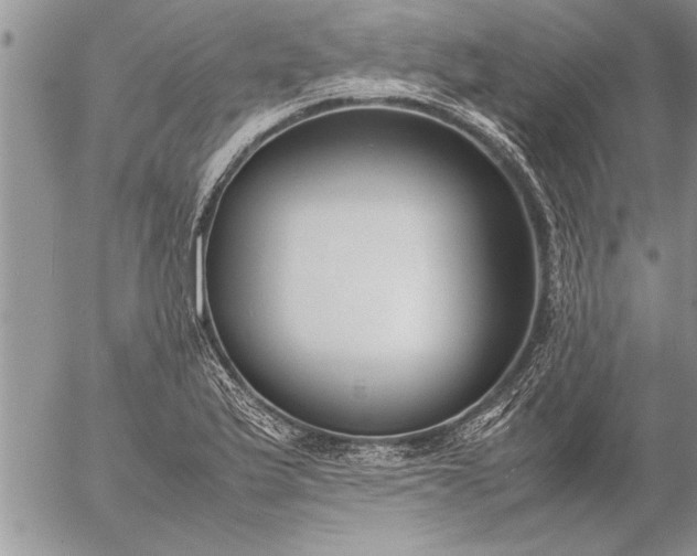 X0000057061175200509231524