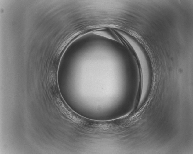 X0000057061177200509231524