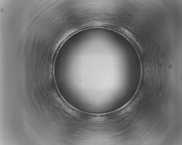 X0000057061178200509231524