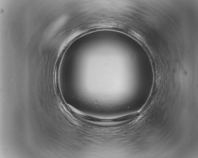 X0000057061179200509231524