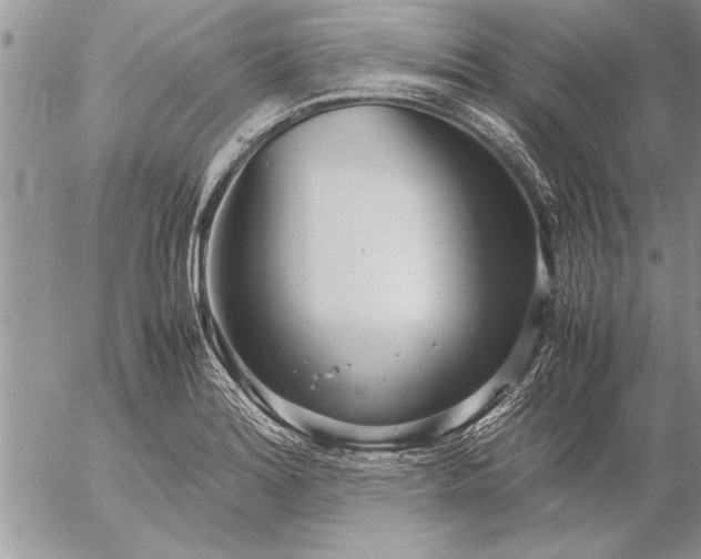 X0000057061180200509231524