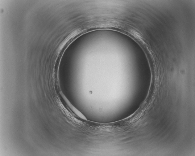 X0000057061181200509231524