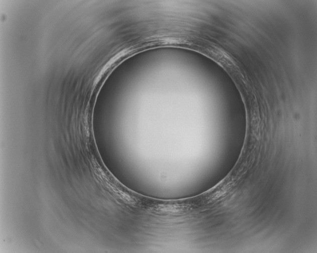 X0000057061182200509231524