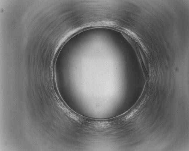 X0000057061184200509231524