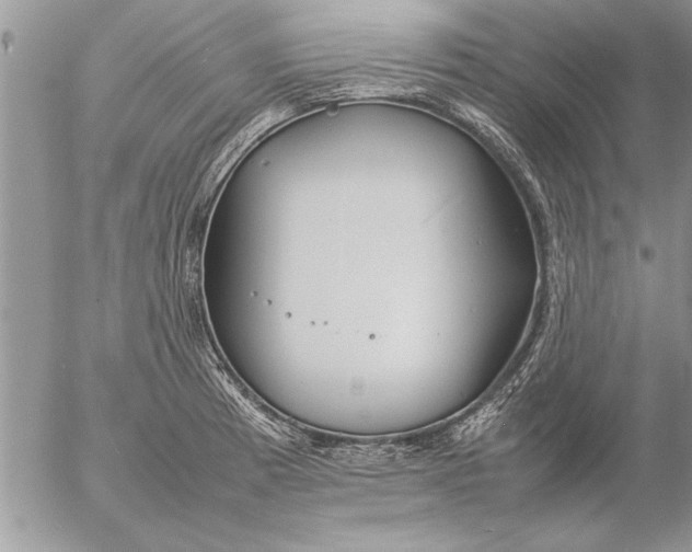 X0000057061185200509231524