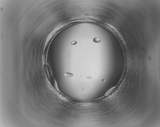 X0000057061188200509231524