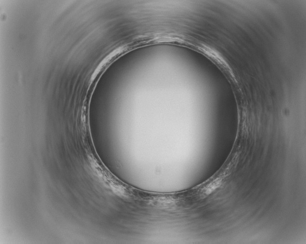 X0000057061190200509231524