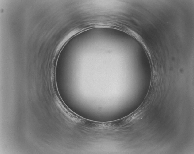 X0000057061195200509231524