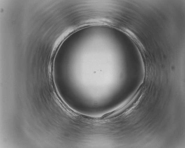 X0000057061196200509231524