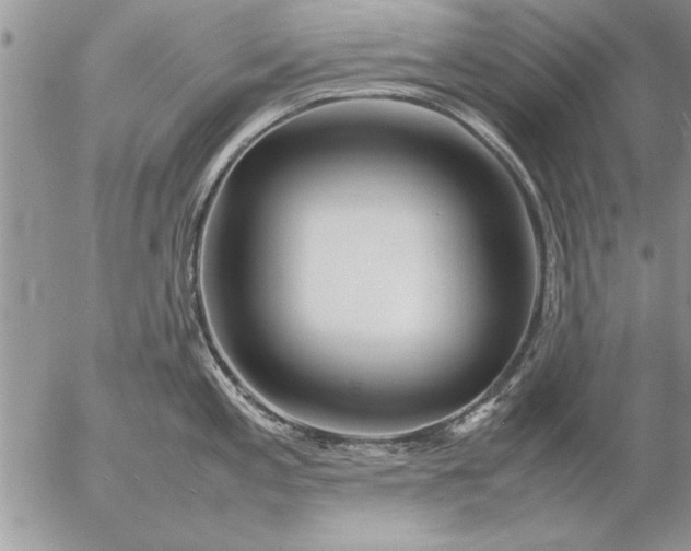 X0000057061197200509231524