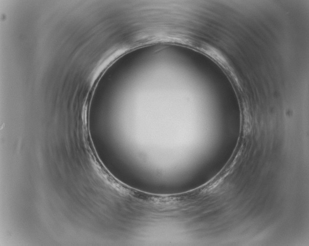 X0000057061198200509231524