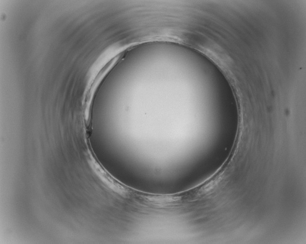 X0000057061200200509231524