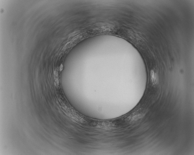 X0000057061203200509231523