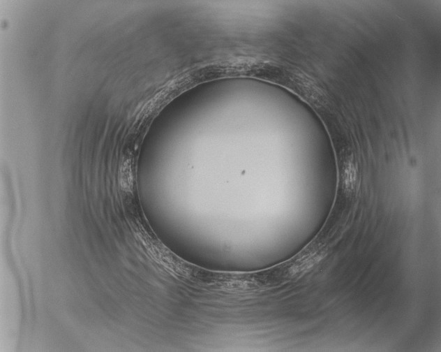 X0000057061204200509231523