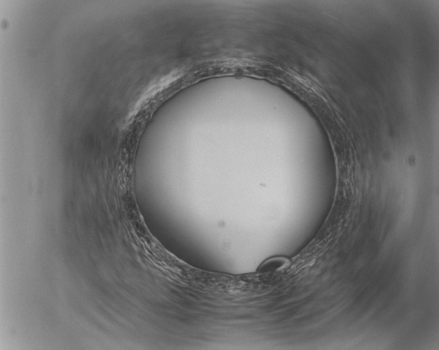 X0000057061207200509231523