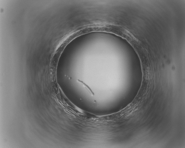 X0000057061208200509231523