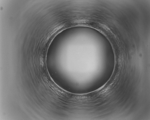 X0000057061209200509231523