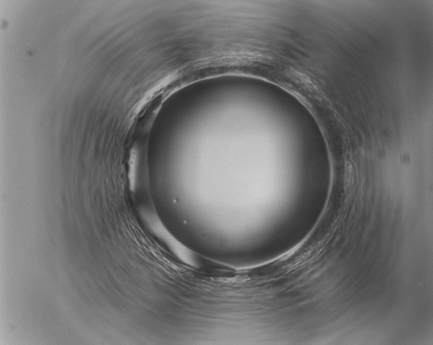 X0000057061210200509231523