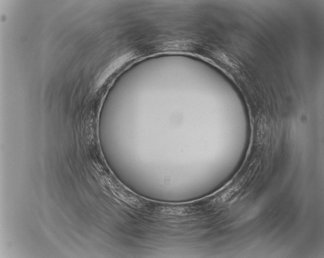 X0000057061211200509231523