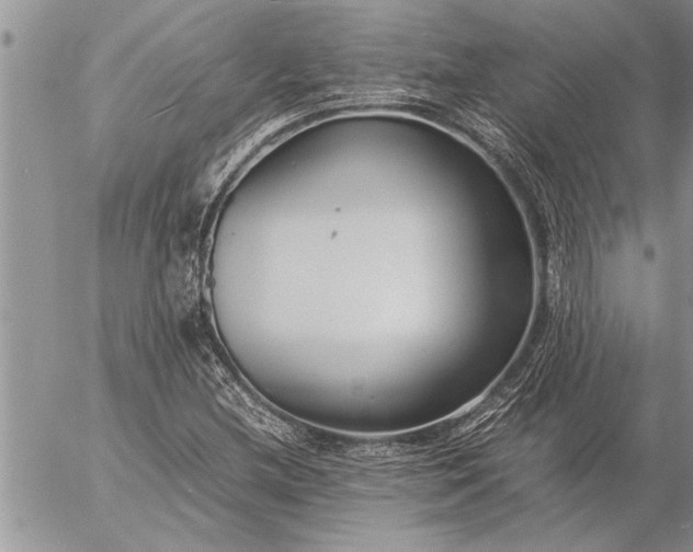 X0000057061212200509231523