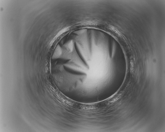 X0000057061213200509231523