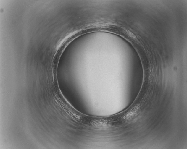 X0000057061214200509231523