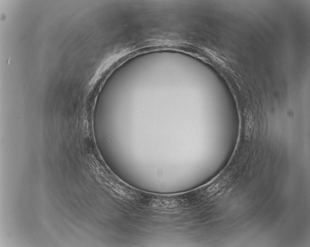 X0000057061215200509231523