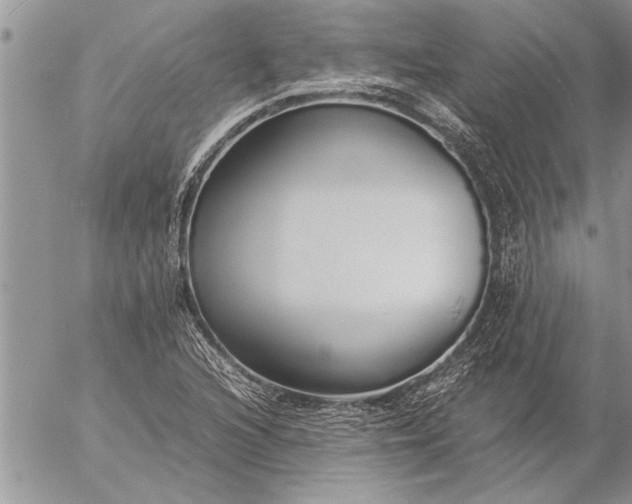 X0000057061216200509231523