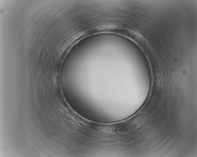 X0000057061217200509231523